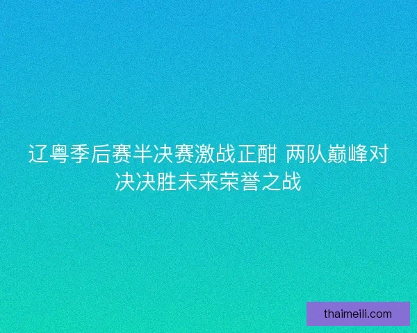 辽粤季后赛半决赛激战正酣 两队巅峰对决决胜未来荣誉之战 辽粤季后赛半决赛激战正酣 两队巅峰对决决胜未来荣誉之战