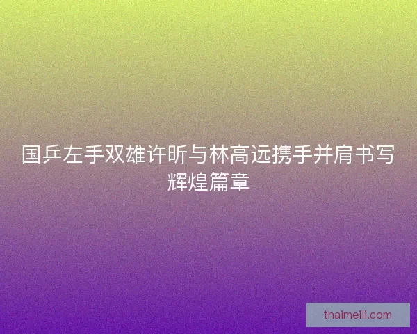 国乒左手双雄许昕与林高远携手并肩书写辉煌篇章 国乒左手双雄许昕与林高远携手并肩书写辉煌篇章