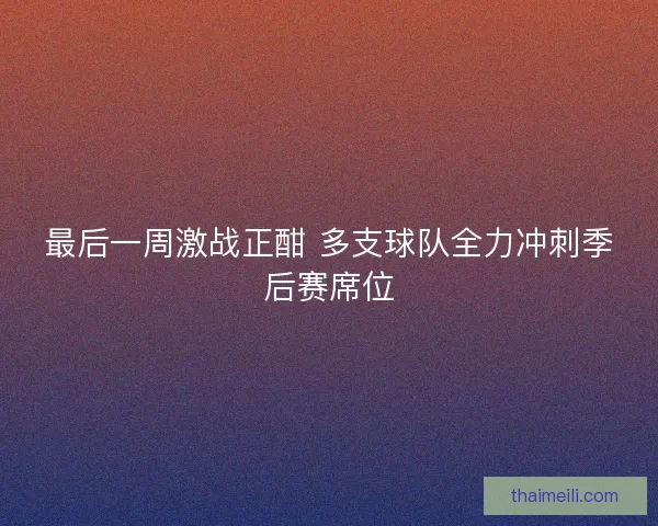 最后一周激战正酣 多支球队全力冲刺季后赛席位